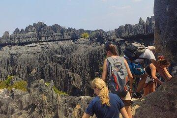 Baobab & Grand Tsingy Walk in 14 Days