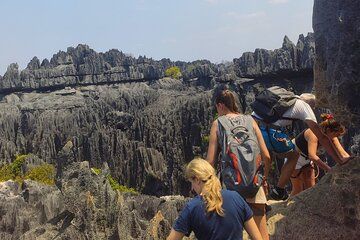 Baobab & Grand Tsingy Walk in 14 Days