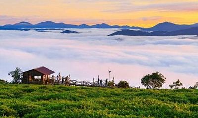 Da Lat: Sunrise Cloud Hunting Tour from 4:00–10:00 AM