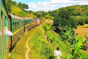 Ecotourism in the East Coast in 14 days