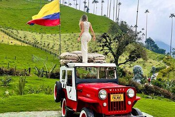 Salento Tour, Valle DE Cocora, Filandia and Coffee Experience