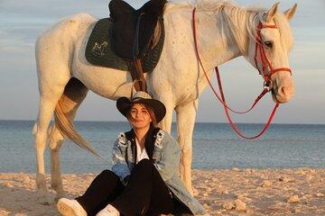 Hurghada: 2-Hour Horse Ride on Desert & Beach with Transfer
