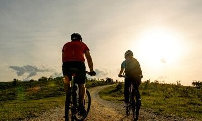 Full-Day E-Bike Rental in Island Park