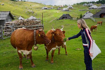 Velika Planina Visit with Tastings from Ljubljana