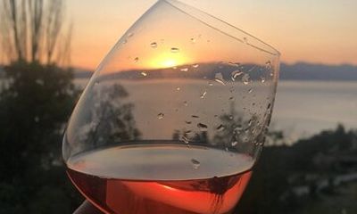 Vik's Unique Wine Tasting Experience in Ohrid