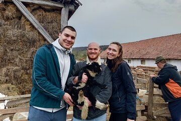Sibiu > Fortified Churches, Farm Life and Carriage Ride Tour