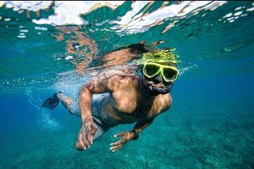 Snorkeling and Wildlife with lunch in Costa Rica Catamaran Tour