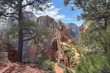 Scout Lookout: Small Group Guided Hike Zion Canyon