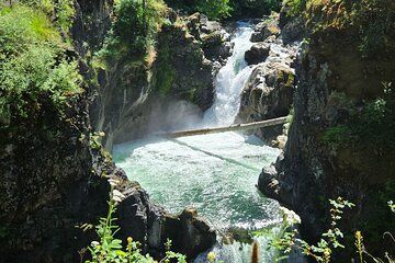 Wildlife, Waterfalls, Caves, Old Growth on Vancouver Island