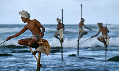 Southern Sri Lanka Day Tour One-Way Domestic Flight