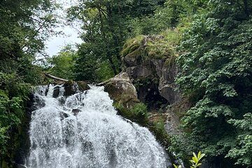 Tour of Fort Clatsop, Youngs River Falls & Warrenton Countryside