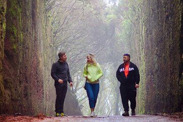 Anaga Hidden Gems Hiking Tour. Free Pick-up. Small Group