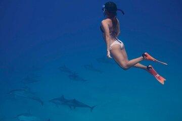 Hurghada: Dolphin House Snorkeling & Water Activities with Lunch