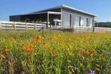 Become a Ranch Hand for a Day in Fredericksburg