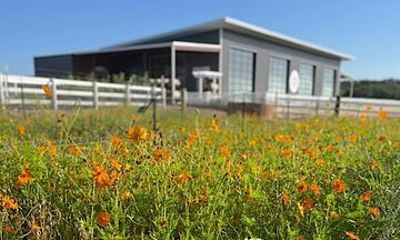 Become a Ranch Hand for a Day in Fredericksburg