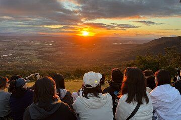 Lamington and Tamborine Day Tour OReillys Curtis Falls Sunset