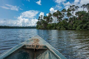 Tambopata Jungle Adventure Tour 4 Days