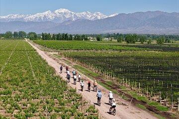 E- Bike Gourmet | Ride Taste Explore