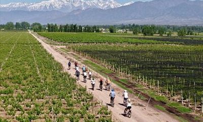 E- Bike Gourmet | Ride Taste Explore