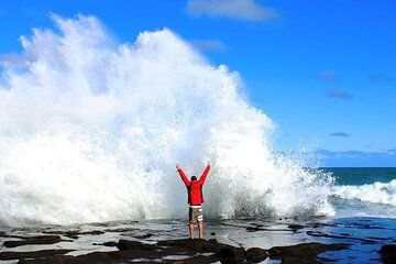 Dunedin to Te Anau via the Catlins One Way Small Group Tour