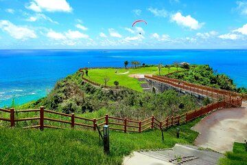 Naha and South Okinawa Private 7 Hour Tour with Local Guide