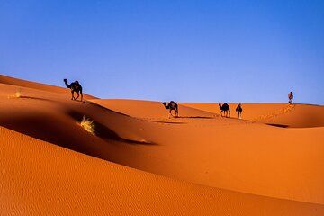 3 Day Marrakech to Merzouga Sahara Desert Tour with Camel Trek