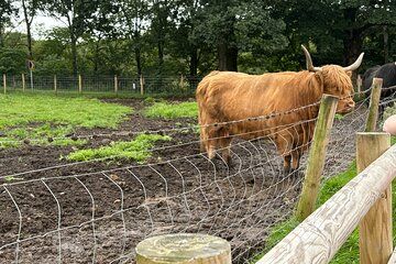 Ultimate day tour from Glasgow