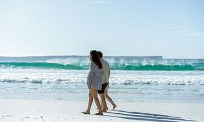 Best of the bay Tour -Jervis Bay
