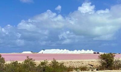 Guided Bonaire South Tour