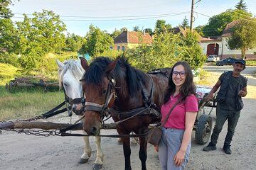 Sibiu > Village Crafts, Biertan and Sighișoara Full-Day Trip