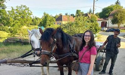 Sibiu > Village Crafts, Biertan and Sighișoara Full-Day Trip