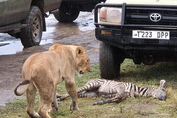Four Days Trip to Tarangire Serengeti Ngorongoro Crater