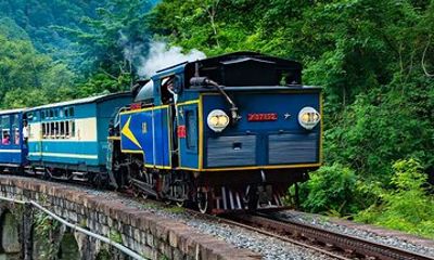 Ooty Sightseeing and Toy Train Ride –UNESCO Railway One Day Tour