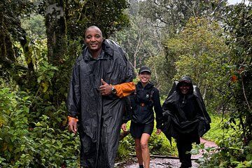 Mountain Kilimanjaro Climb Lemosho Route 6 Days