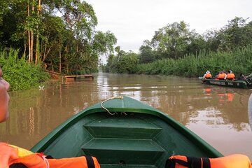 Sukau Rainforest Wildlife and Dawn Cruises Day Tour in Sandakan