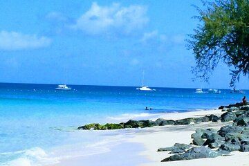 The Private Grand Island Tour Of Barbados
