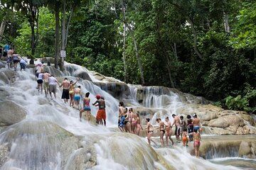 Private Dunn's River Falls Tour from Falmouth