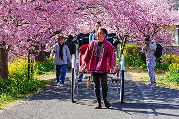 Japan Mini Group Tour from Tokyo