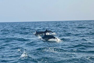 Dolphin Watching and Village Tour 3 Days Experience