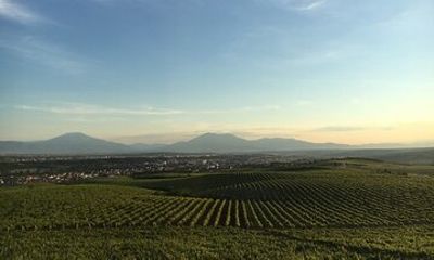 Kosovo Highlights in a Day Pristina, Prizren and Wine Finale