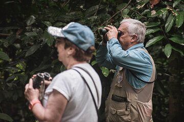 Sandakan 2D1N Sepilok Orangutan, Sunbear & Kinabatangan Cruise