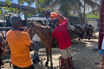 Horseback Riding Adventure and Puerto Plata City Tour