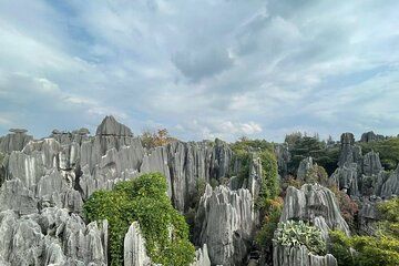 Kunming, Yunnan One Day Tour to Stone Forest Scenic Area
