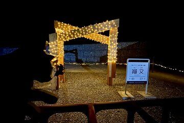 Kurobe Gorge Twilight Train Premium Night Journey