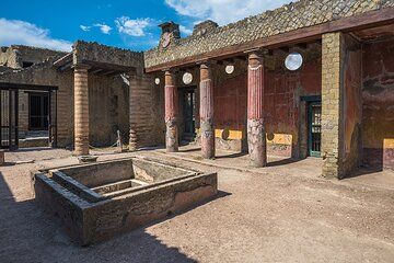 Herculaneum and Pompeii Private Tour from Sorrento or Positano