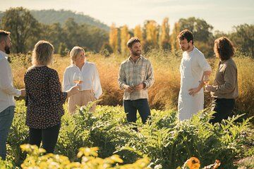 Premium Hunter Wine Tour with Degustation Lunch and Paired Wines