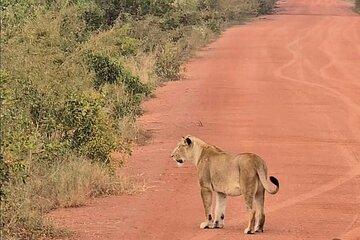 Private Customize Rwanda Tours