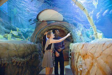 SEA LIFE Michigan Aquarium Admission Ticket