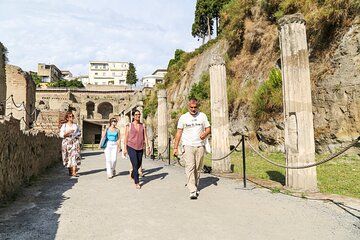 Private Skip-the-line Pompeii & Herculaneum Tour from Naples