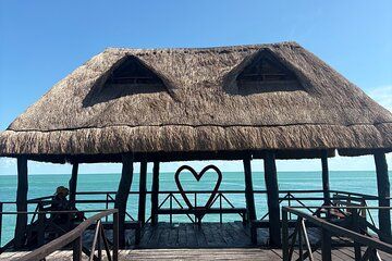 Isla Aguada Campeche : Dolphin watching by private boat